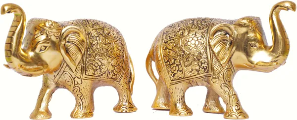 Metal_Elephant_Statue_Small_Size_Gold_Polish_2_Pcs_Set_For_Showpiece_Your_Home